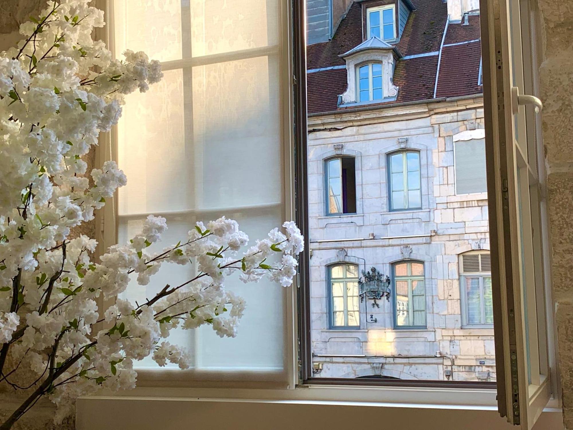 Les Fabuleux Appartements Du Coeur De Ville - Place Victor Hugo Besancon Bagian luar foto